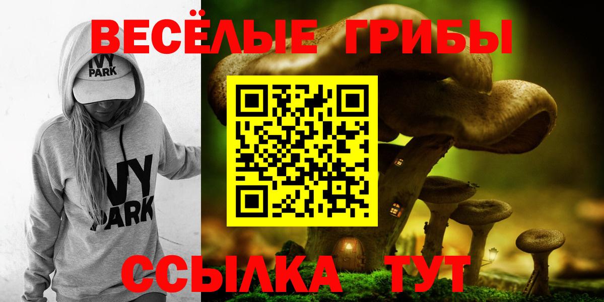 Балашиха  Псилоцибиновые грибы прущие грибы  Вход с VPN 